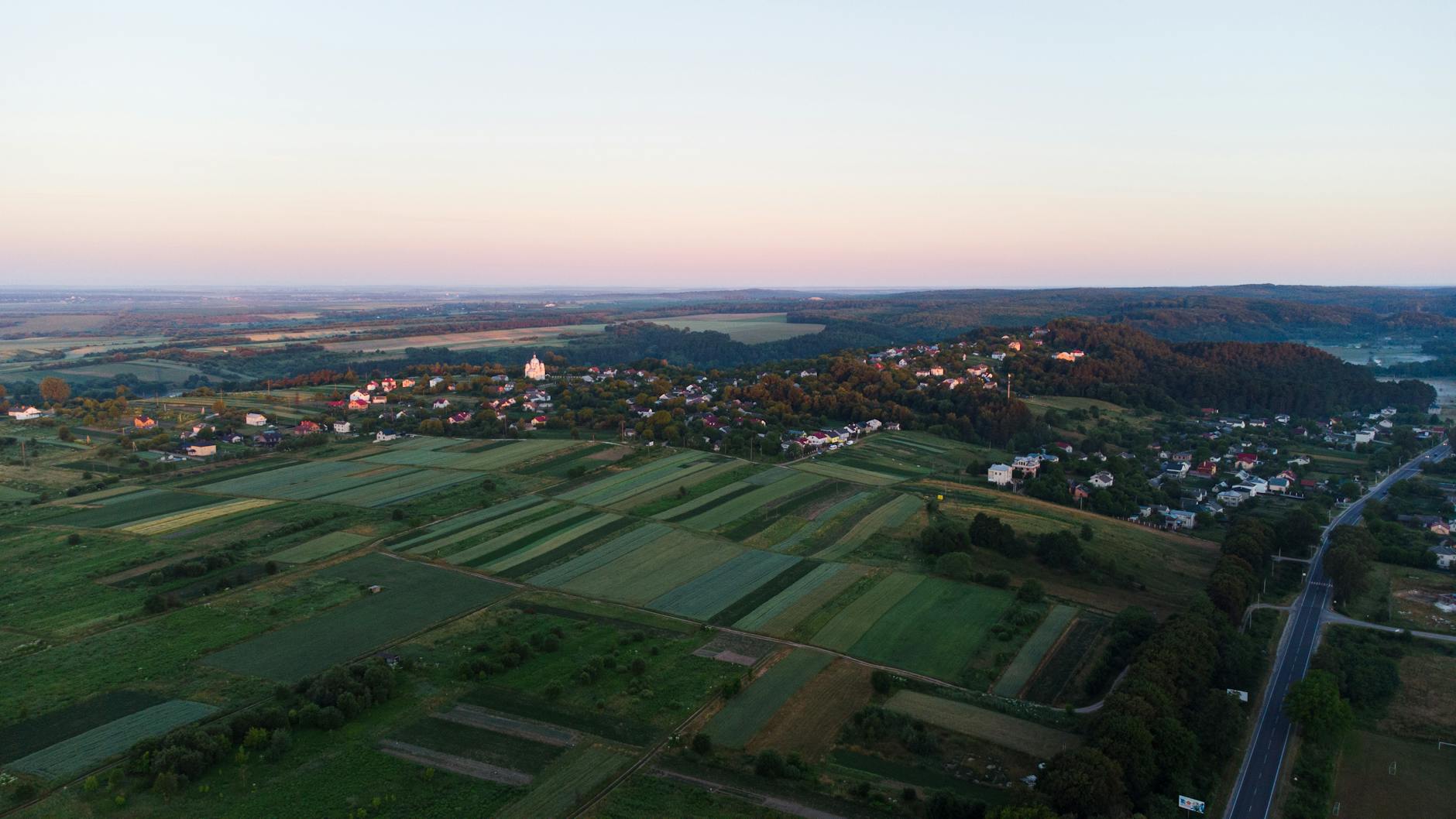 Zielone Świątki w Wodzisławiu: Tradycja, natura i miejskie świętowanie